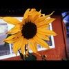 vetty_1020